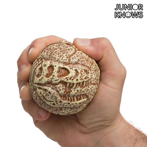 Junior Knows Fossil Ball